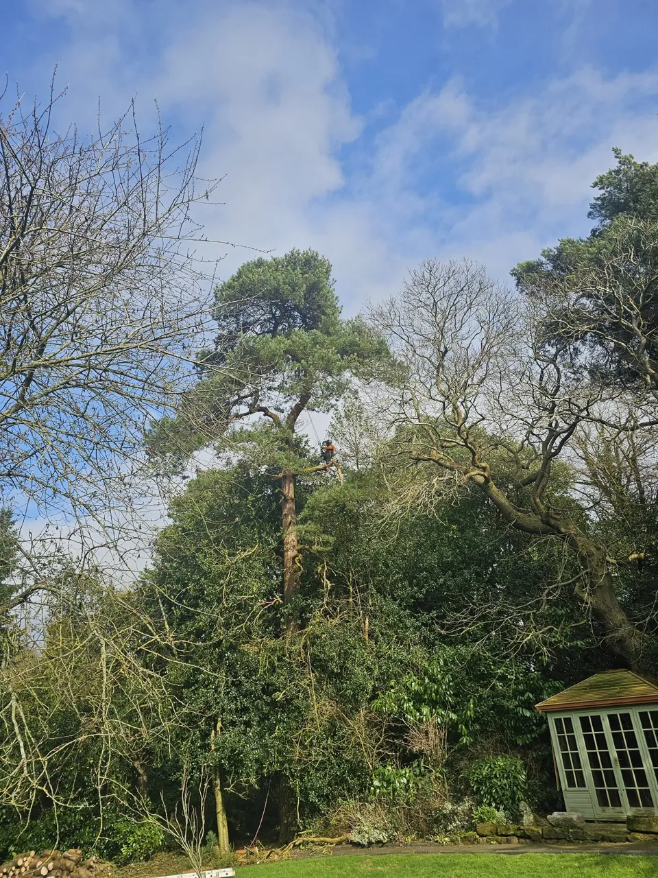 Recent job